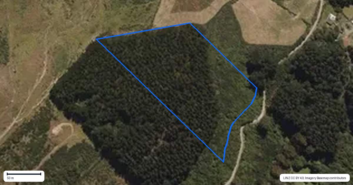 Property context map for 61 Reynoldstown Road, Careys Bay, Dunedin