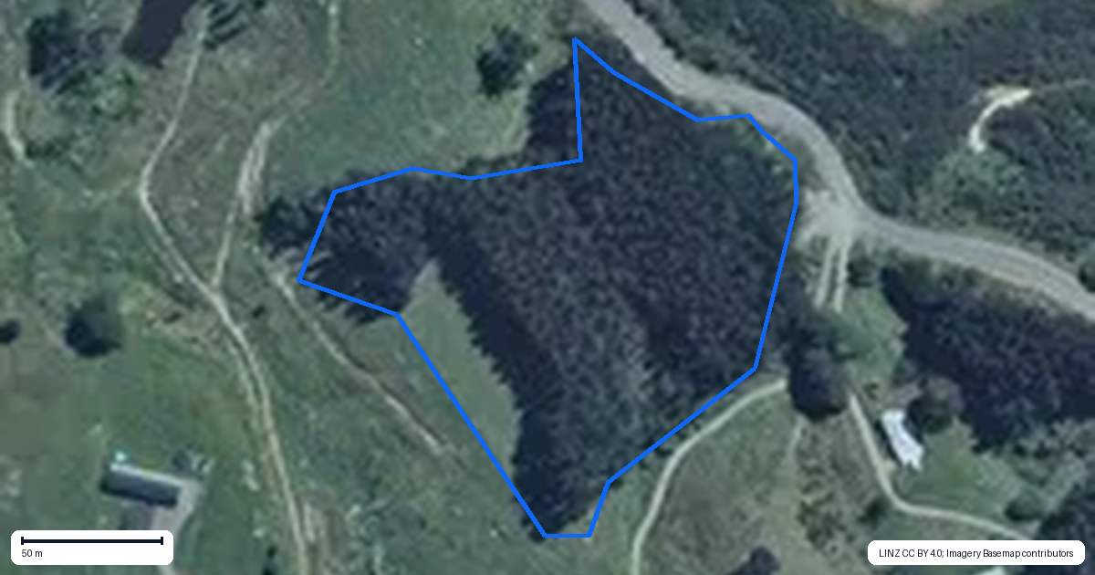 Property context map for 58 Greens Road, Linton, Palmerston North