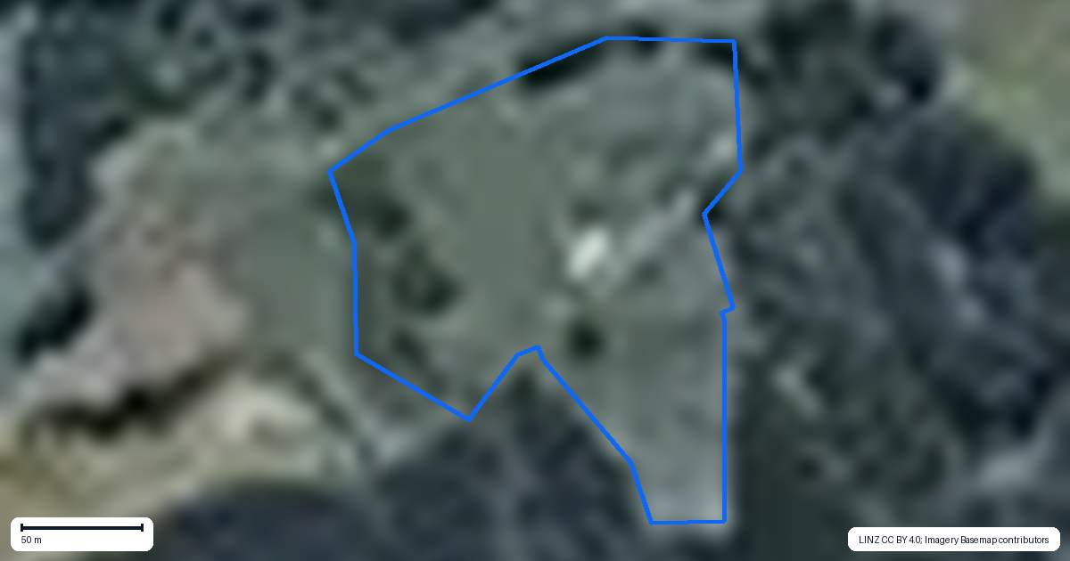 Property context map for 795 Oio Road, Owhango