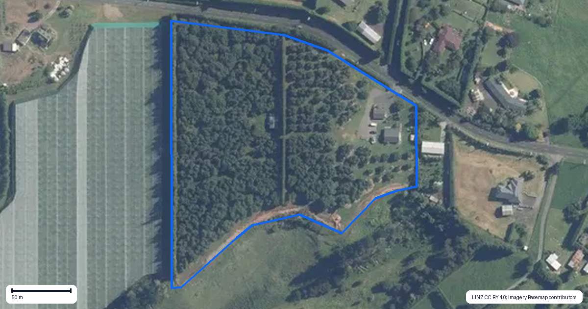 Property context map for 119 Woodland Road, Tahawai