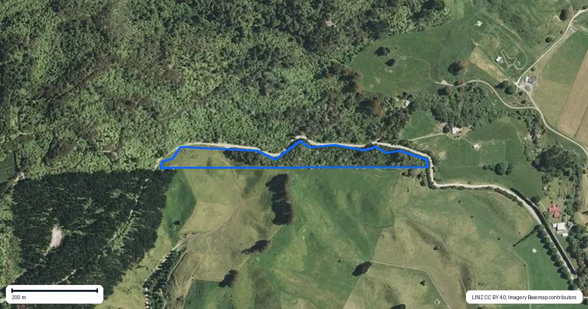Property context map for 109 McIvor Road, Rotoma, Whakatane