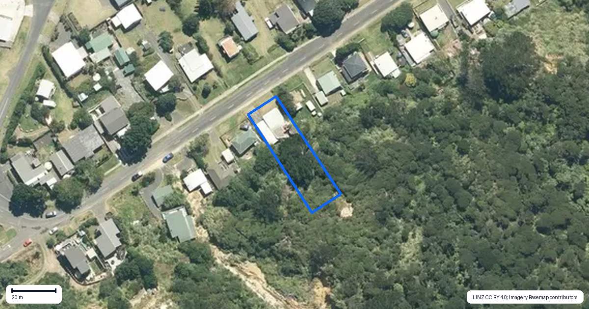Property context map for 193 Maunsell Road, Port Waikato