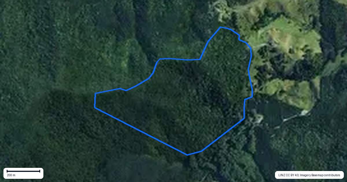 Property context map for 294 Munn Road, Kaitaia