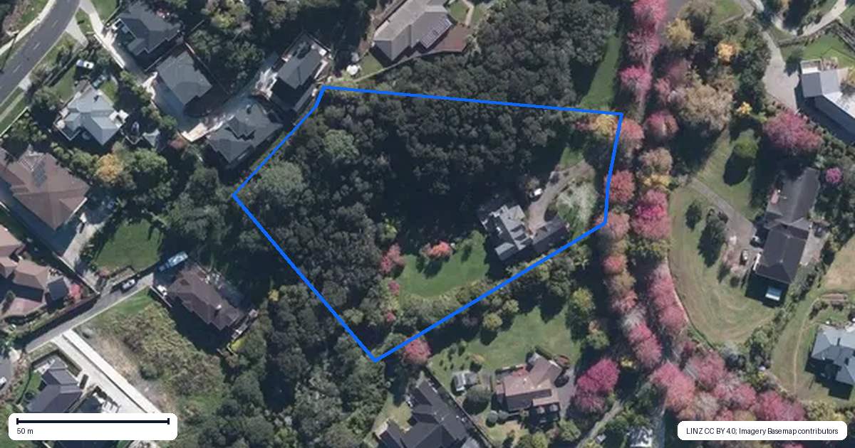 Property context map for 45 Chester Avenue, Greenhithe, Auckland