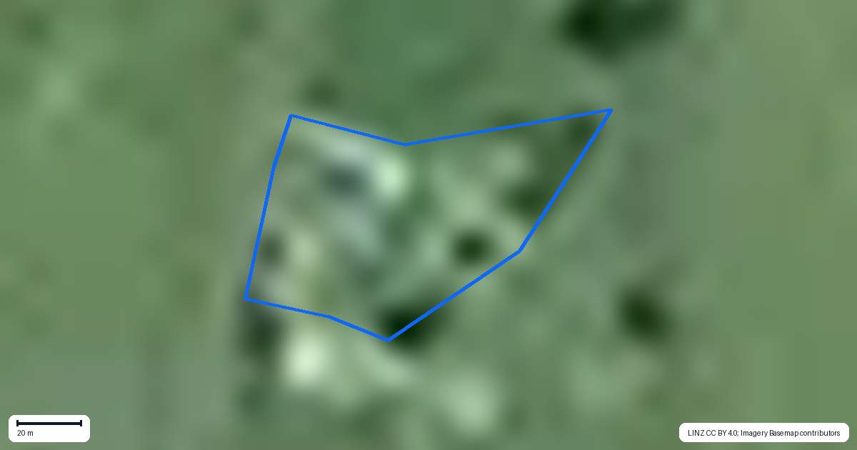 Property context map for 295 Scott Road, Morrinsville