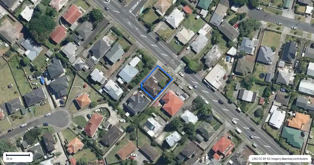 Property context map for 311 Mount Albert Road, Wesley, Auckland