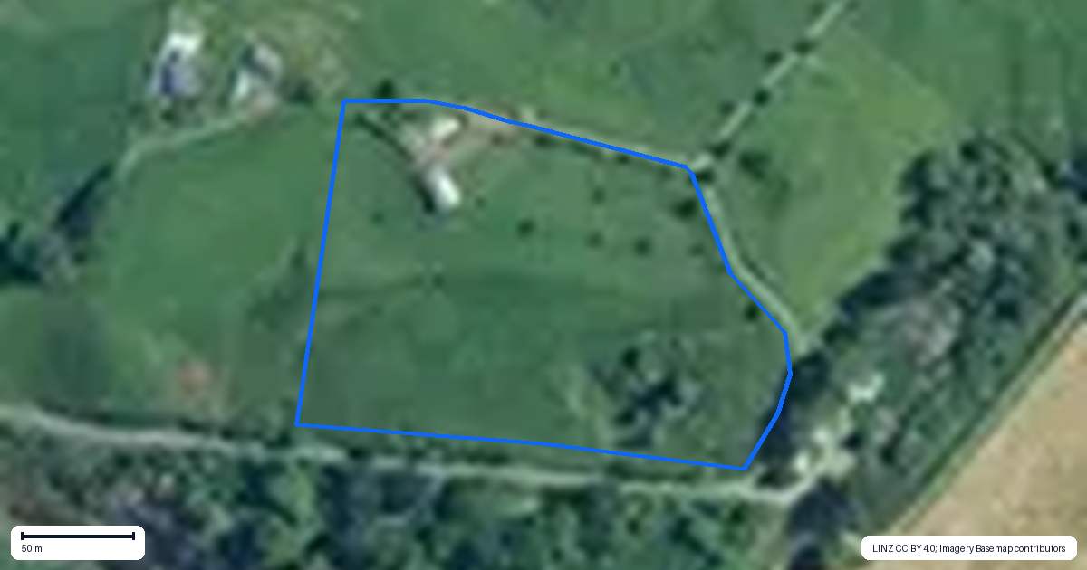 Property context map for 141A Oram Road, Mercer