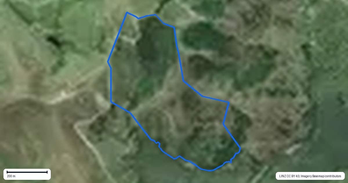 Property context map for 125 Linton Road, Maungaturoto